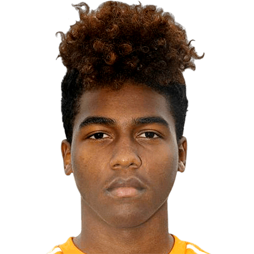 Opiniones de bryan salazar