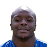Adebayo Akinfenwa