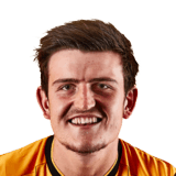 Harry Maguire