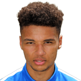 Lee Angol