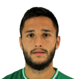 Florin Andone