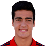 Mikel Merino