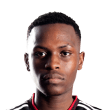 Siphamandla Sangweni