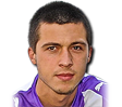 Haris Medunjanin 77