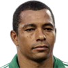 Gilberto Silva 80