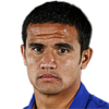 Tim Cahill 80