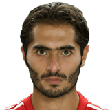 Hamit Altıntop 75