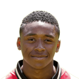 Steven Bergwijn 66