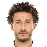 Fabian Johnson 81