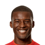 Georginio Wijnaldum 81