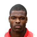 Denzel Dumfries 66