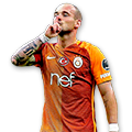Wesley Sneijder 84