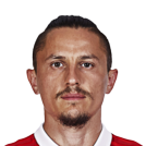 Ljubomir Fejsa 82