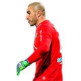 Stéphane Ruffier 87