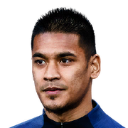Alphonse Areola 86