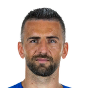 Vedad Ibišević 77