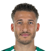 Fabian Johnson 77