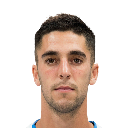 Sabin Merino 75