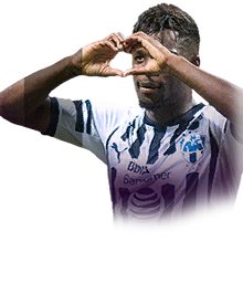 Avilés Hurtado 84