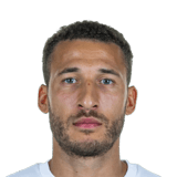 Fabian Johnson 81