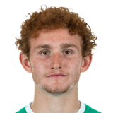 Josh Sargent 67