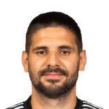 Aleksandar Mitrović 94