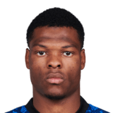 Denzel Dumfries 82